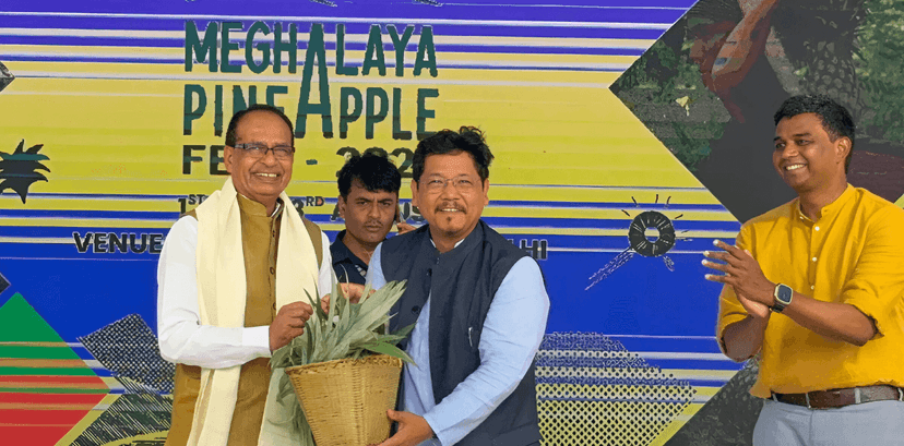 Meghalaya Pineapple Festival
