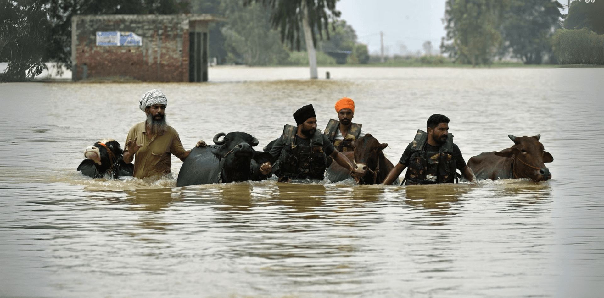 Punjab Floods Toll Hits 55