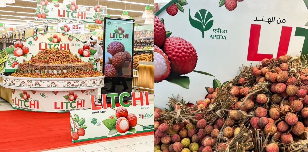 Litchi from Pathankot to Qatar