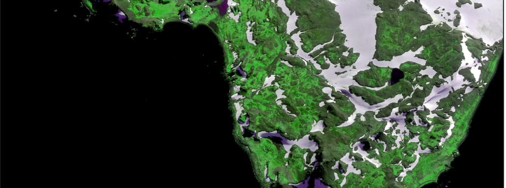 Antarctica Turning Green at An Alarming Rate