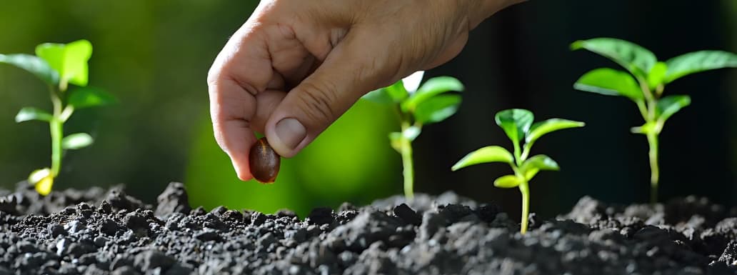 Access to Quality Agricultural and Horticulture Seeds Simplified