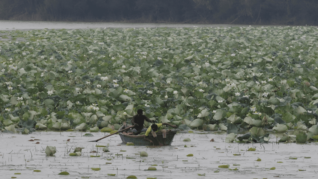 Sukhna Wildlife Sanctuary