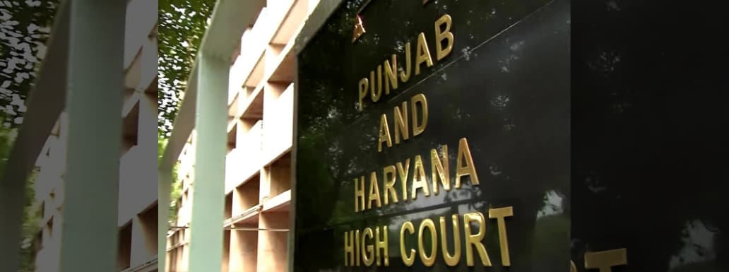 Punjab, Haryana High Court Mandates Tight Security for Upcoming Municipal Elections