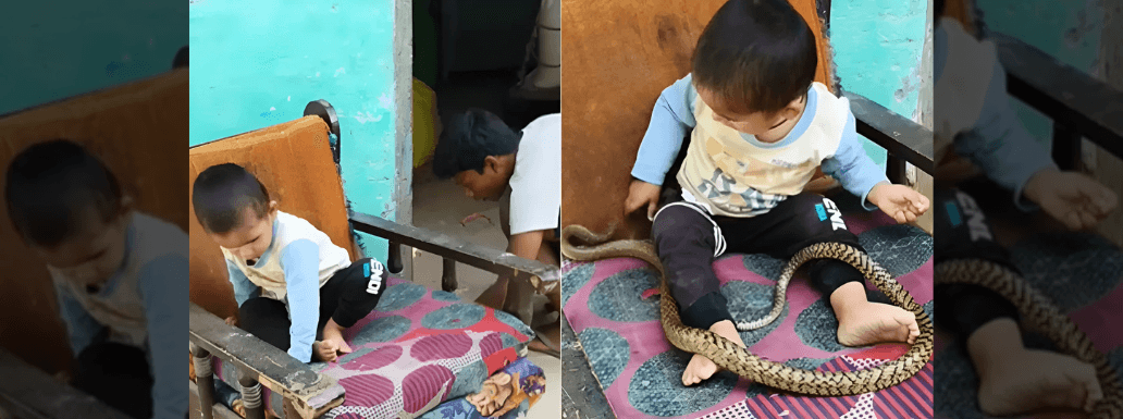 Viral Video of Toddler Playing with Snake Sparks Outrage
